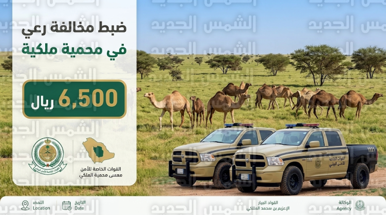 تغريم مواطن 6500 ريال بعد رصد 13 متناً من الإبل في محمية الإمام عبدالعزيز بن محمد
